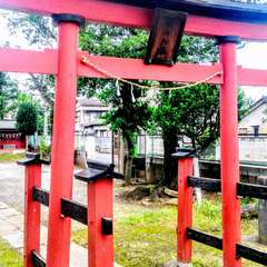 日枝神社鳥居(投稿日:2016年7月6日) 写真