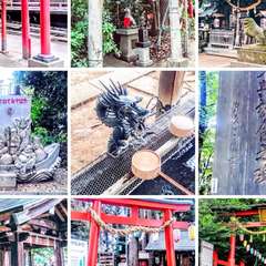 西堀氷川神社 社殿・摂社・鳥居・手水(投稿日:2016年7月6日) 写真