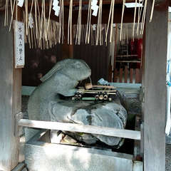 投稿日:2018年5月27日 写真