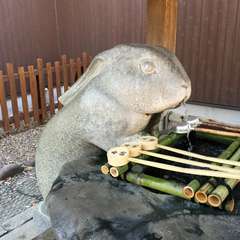 投稿日:2015年10月31日 写真