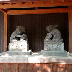 投稿日:2018年5月27日 写真