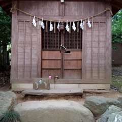 投稿日:2022年7月31日 写真