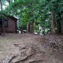 投稿日:2022年7月31日 写真