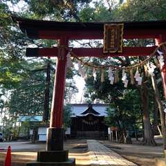 投稿日:2017年2月16日 写真