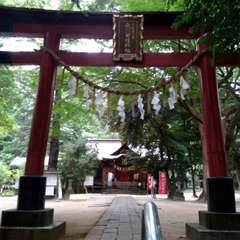 投稿日:2022年7月31日 写真