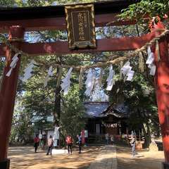 投稿日:2022年5月30日 写真