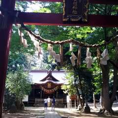 投稿日:2017年9月3日 写真