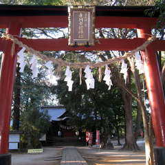 投稿日:2024年1月29日 写真