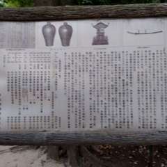 投稿日:2022年7月31日 写真