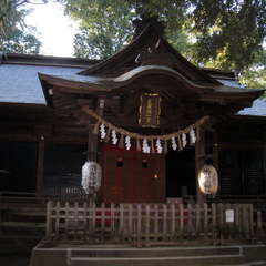 投稿日:2024年1月29日 写真