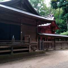 投稿日:2022年7月31日 写真