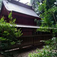 投稿日:2022年7月31日 写真