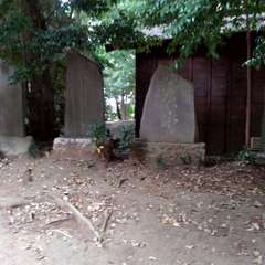 投稿日:2022年7月31日 写真