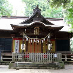 投稿日:2020年5月4日 写真