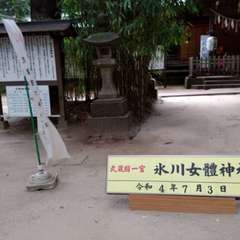 投稿日:2022年7月31日 写真