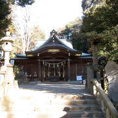 投稿日:2024年1月29日 写真