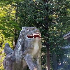 投稿日:2021年4月10日 写真