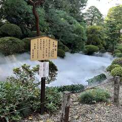 投稿日:2025年8月17日 写真