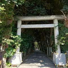 投稿日:2017年2月17日 写真