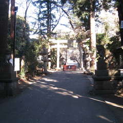 投稿日:2024年1月29日 写真