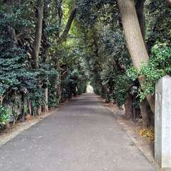 投稿日:2024年9月21日 写真