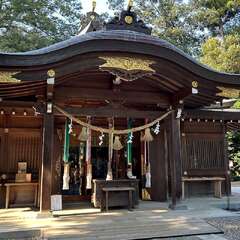 投稿日:2025年8月17日 写真