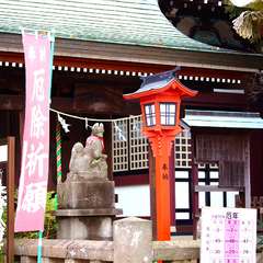 投稿日:2015年1月3日 写真