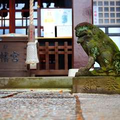 投稿日:2015年1月3日 写真