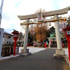 投稿日:2015年1月3日 写真