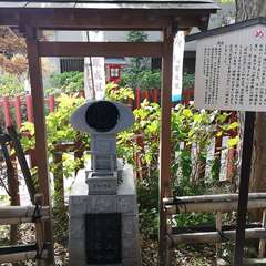 投稿日:2020年11月1日 写真