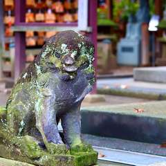 投稿日:2015年1月3日 写真