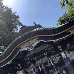 投稿日:2019年6月9日 写真