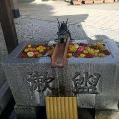 投稿日:2020年11月1日 写真