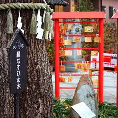 投稿日:2015年1月3日 写真