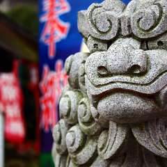 投稿日:2015年1月3日 写真