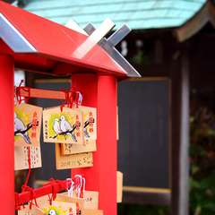 投稿日:2015年1月3日 写真