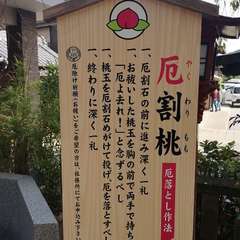 投稿日:2020年11月1日 写真