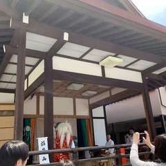 投稿日:2019年5月5日 写真