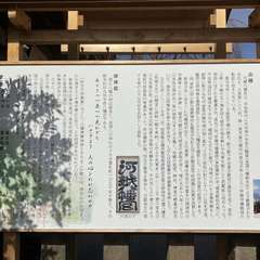 投稿日:2024年1月28日 写真