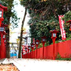 投稿日:2015年1月3日 写真