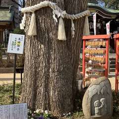 投稿日:2024年1月28日 写真