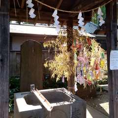 投稿日:2022年7月2日 写真