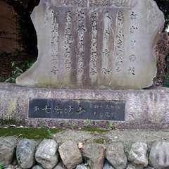 投稿日:2022年7月2日 写真