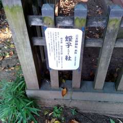 投稿日:2022年7月2日 写真