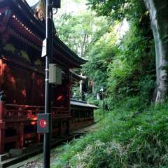 投稿日:2022年7月2日 写真