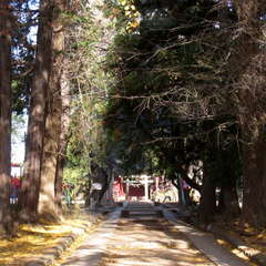 投稿日:2023年12月18日 写真