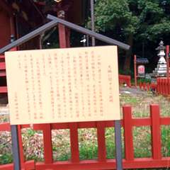 投稿日:2020年8月14日 写真