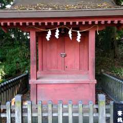 投稿日:2022年7月2日 写真