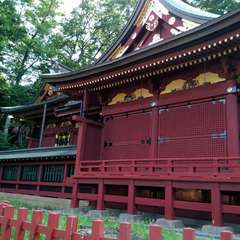 投稿日:2022年7月2日 写真