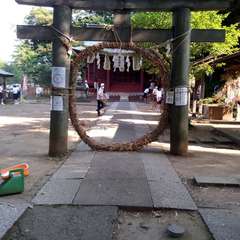 投稿日:2022年7月2日 写真